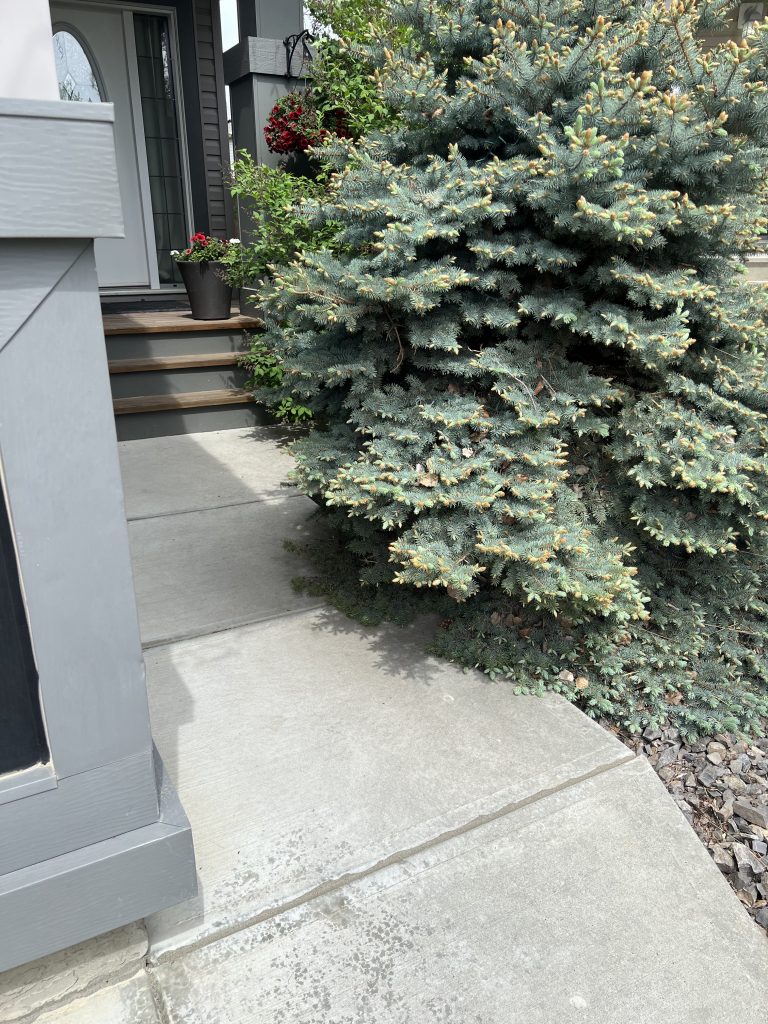 The sidewalk is now level improving your curb appeal.